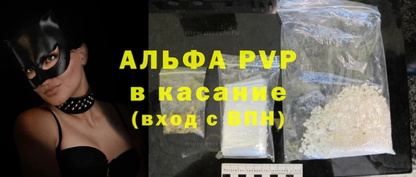 индика Верхний Тагил