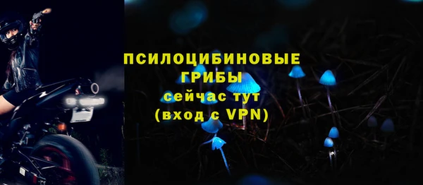 СК Горняк