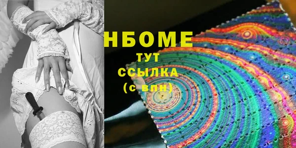 сатива Бородино
