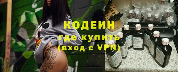 индика Верхний Тагил