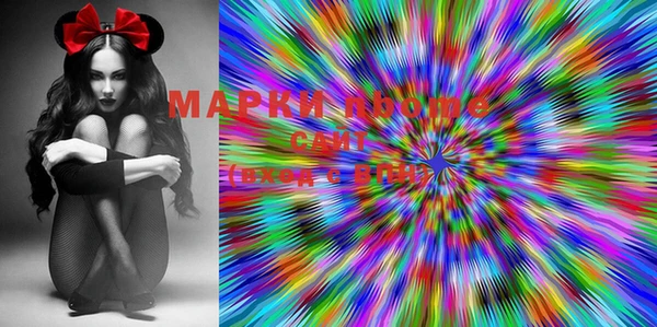 индика Верхний Тагил