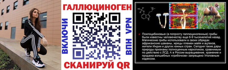 дарк нет клад  наркота  Ефремов  Псилоцибиновые грибы мицелий 